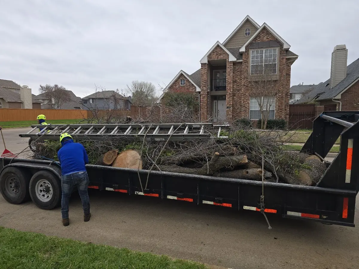 Expert Tree Fertilization with proper safety equipment in Woosung
